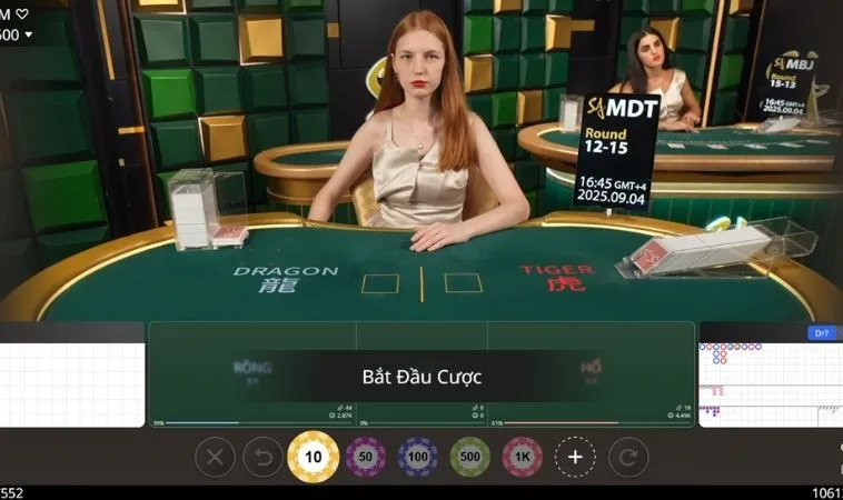 Các cửa cược trong Dragon Tiger tại MMLive